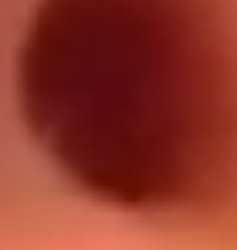 259x273