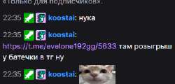 337x162