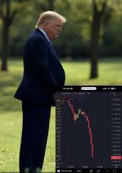 638x900