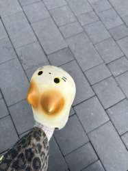 960x1280
