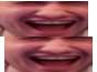 88x65