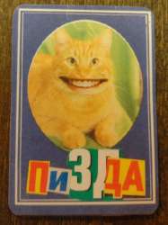 961x1280