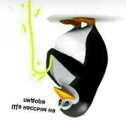 720x710