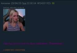 558x384