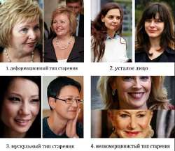 530x461