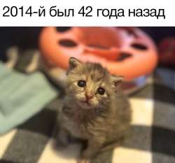 1269x1184