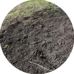 400x400