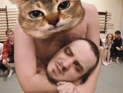 600x454