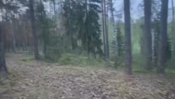 478x270