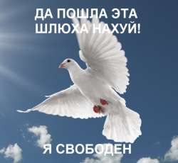 655x605