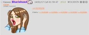 737x292