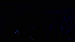 1920x1080