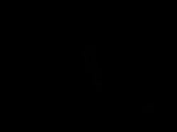 320x240