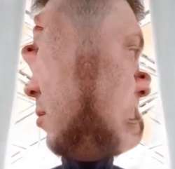 466x450