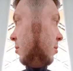 466x450