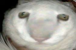 593x396