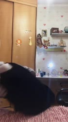 540x960