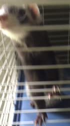 640x1136