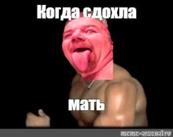 420x335