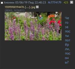 495x457