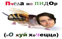 768x490