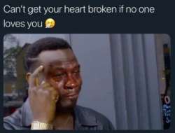 473x361
