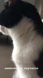 720x1278