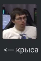 192x282