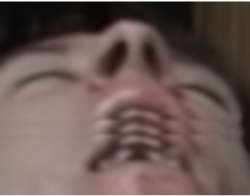 330x259