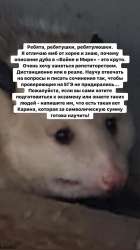 640x1137