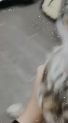 720x1280