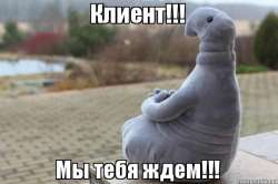 600x400