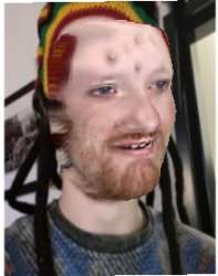 220x279