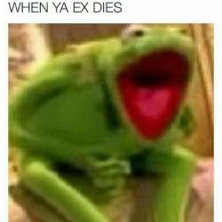 960x960
