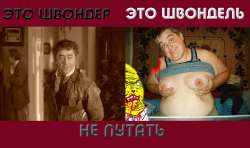 1498x888