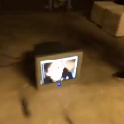 360x360