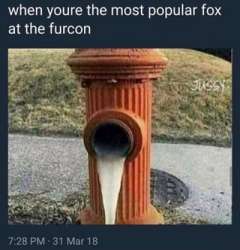 320x332