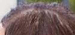 376x175