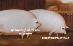 1080x689
