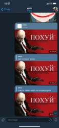 591x1280