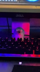 640x1136