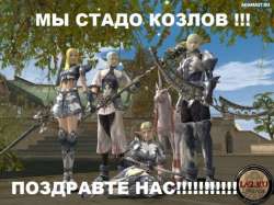 604x453