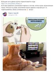 522x685