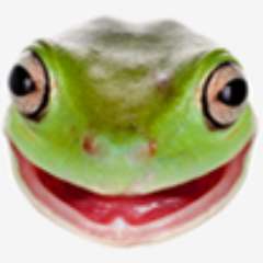 240x240