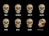 960x720