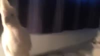 400x222