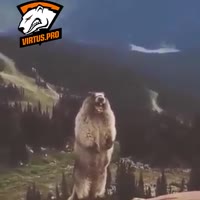 360x360