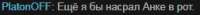 252x19