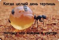 500x338