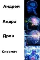 407x604